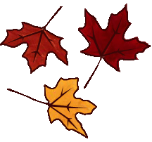 CLICK HERE FOR WEATHER FORECAST FOR LAKE HOPE